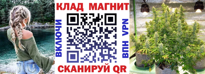Где продают наркотики Калязин Псилоцибиновые грибы  Alpha-PVP  Мефедрон  Лсд 25  Cocaine 