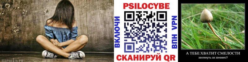 Псилоцибиновые грибы Cubensis  Калязин 